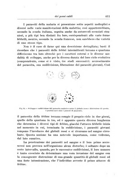 L'agricoltura coloniale organo dell'Istituto agricolo coloniale italiano e dell'Ufficio agrario sperimentale dell'Eritrea