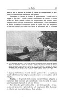 giornale/TO00199161/1913/unico/00000059