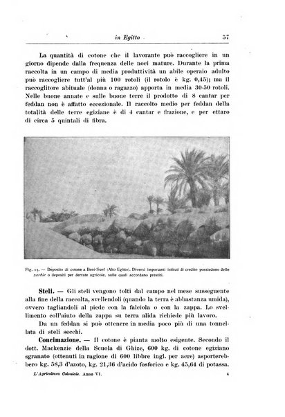 L'agricoltura coloniale organo dell'Istituto agricolo coloniale italiano e dell'Ufficio agrario sperimentale dell'Eritrea