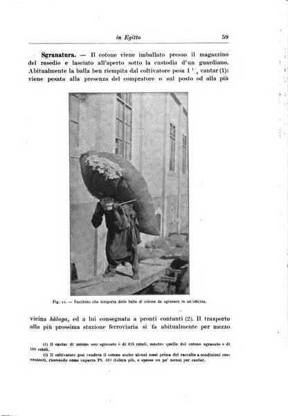 L'agricoltura coloniale organo dell'Istituto agricolo coloniale italiano e dell'Ufficio agrario sperimentale dell'Eritrea