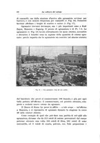 giornale/TO00199161/1913/unico/00000070
