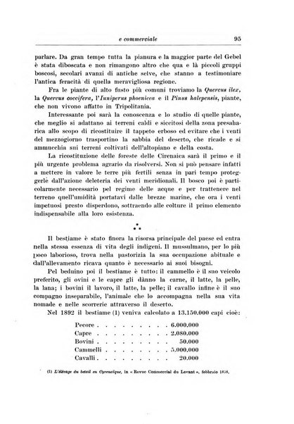 L'agricoltura coloniale organo dell'Istituto agricolo coloniale italiano e dell'Ufficio agrario sperimentale dell'Eritrea