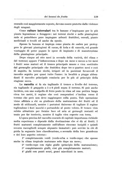 L'agricoltura coloniale organo dell'Istituto agricolo coloniale italiano e dell'Ufficio agrario sperimentale dell'Eritrea