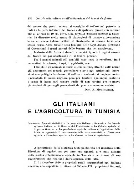 L'agricoltura coloniale organo dell'Istituto agricolo coloniale italiano e dell'Ufficio agrario sperimentale dell'Eritrea