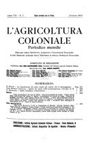 giornale/TO00199161/1913/unico/00000269