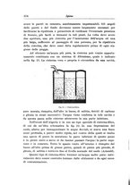 giornale/TO00199161/1913/unico/00000418