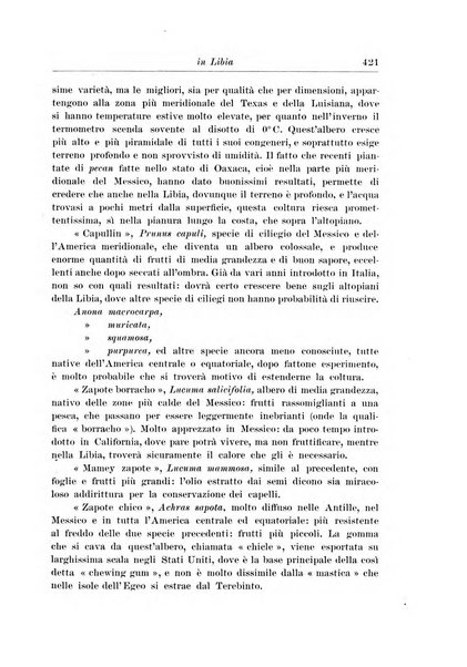 L'agricoltura coloniale organo dell'Istituto agricolo coloniale italiano e dell'Ufficio agrario sperimentale dell'Eritrea