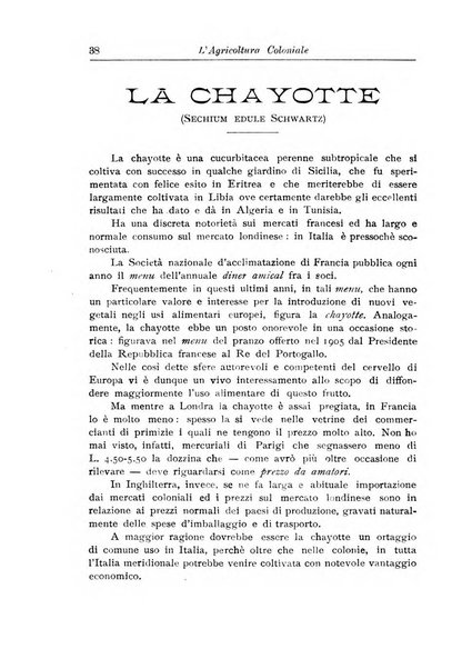 L'agricoltura coloniale organo dell'Istituto agricolo coloniale italiano e dell'Ufficio agrario sperimentale dell'Eritrea