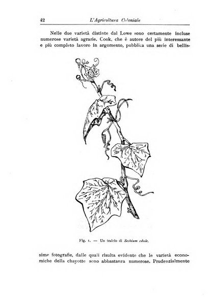 L'agricoltura coloniale organo dell'Istituto agricolo coloniale italiano e dell'Ufficio agrario sperimentale dell'Eritrea