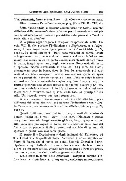 L'agricoltura coloniale organo dell'Istituto agricolo coloniale italiano e dell'Ufficio agrario sperimentale dell'Eritrea