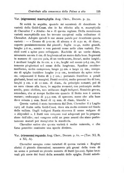 L'agricoltura coloniale organo dell'Istituto agricolo coloniale italiano e dell'Ufficio agrario sperimentale dell'Eritrea