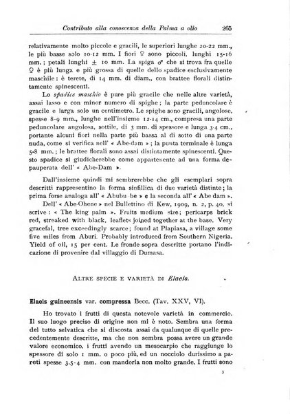 L'agricoltura coloniale organo dell'Istituto agricolo coloniale italiano e dell'Ufficio agrario sperimentale dell'Eritrea