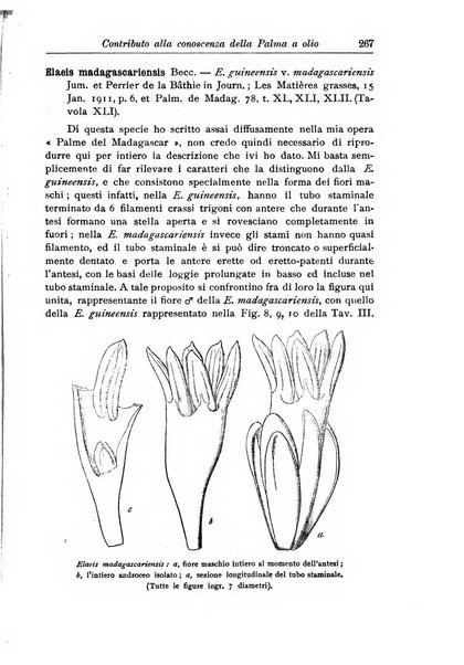 L'agricoltura coloniale organo dell'Istituto agricolo coloniale italiano e dell'Ufficio agrario sperimentale dell'Eritrea