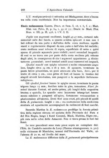 L'agricoltura coloniale organo dell'Istituto agricolo coloniale italiano e dell'Ufficio agrario sperimentale dell'Eritrea