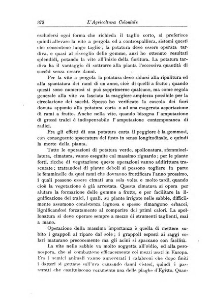 L'agricoltura coloniale organo dell'Istituto agricolo coloniale italiano e dell'Ufficio agrario sperimentale dell'Eritrea