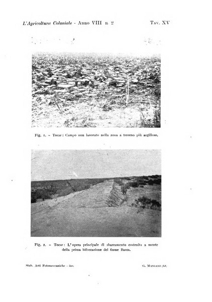 L'agricoltura coloniale organo dell'Istituto agricolo coloniale italiano e dell'Ufficio agrario sperimentale dell'Eritrea