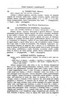 giornale/TO00199161/1915/V.1/00000093