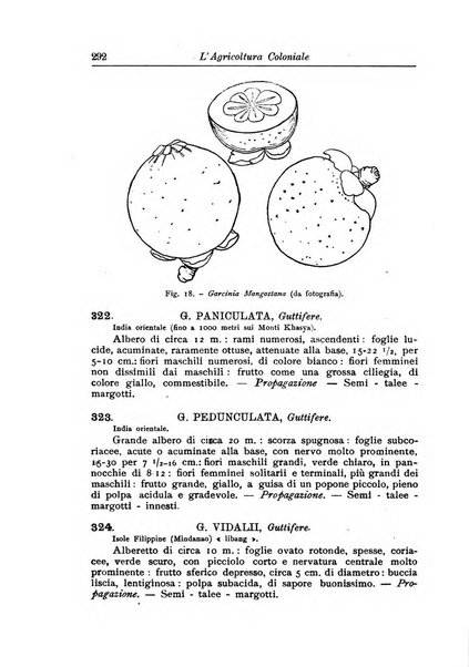 L'agricoltura coloniale organo dell'Istituto agricolo coloniale italiano e dell'Ufficio agrario sperimentale dell'Eritrea