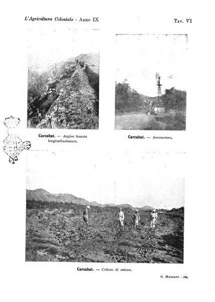 L'agricoltura coloniale organo dell'Istituto agricolo coloniale italiano e dell'Ufficio agrario sperimentale dell'Eritrea