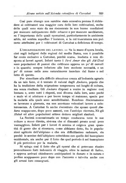 L'agricoltura coloniale organo dell'Istituto agricolo coloniale italiano e dell'Ufficio agrario sperimentale dell'Eritrea