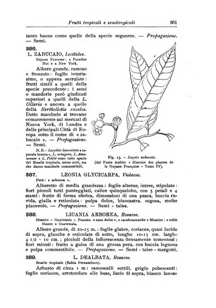 L'agricoltura coloniale organo dell'Istituto agricolo coloniale italiano e dell'Ufficio agrario sperimentale dell'Eritrea