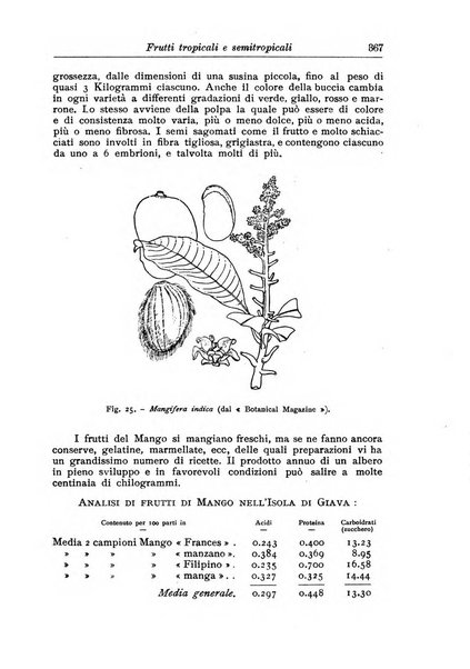 L'agricoltura coloniale organo dell'Istituto agricolo coloniale italiano e dell'Ufficio agrario sperimentale dell'Eritrea