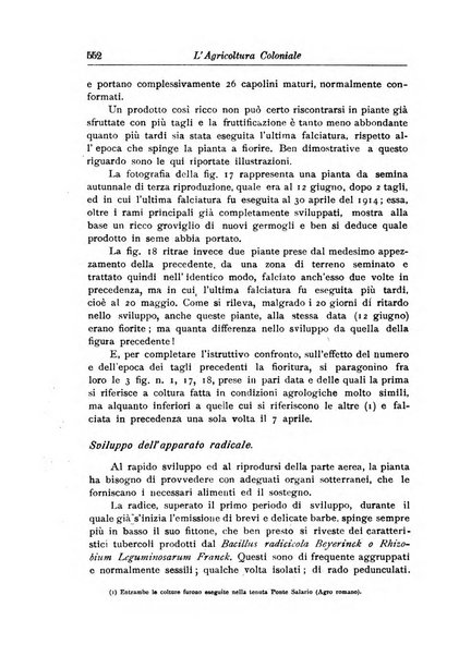 L'agricoltura coloniale organo dell'Istituto agricolo coloniale italiano e dell'Ufficio agrario sperimentale dell'Eritrea