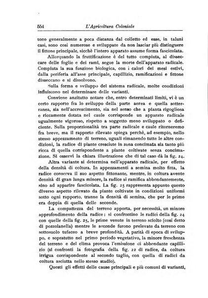 L'agricoltura coloniale organo dell'Istituto agricolo coloniale italiano e dell'Ufficio agrario sperimentale dell'Eritrea