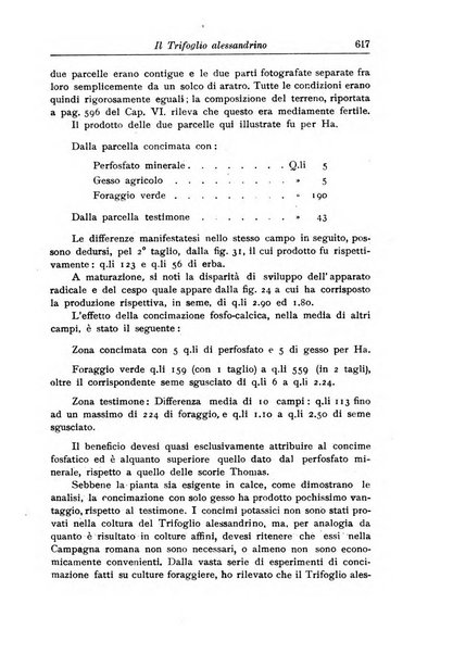 L'agricoltura coloniale organo dell'Istituto agricolo coloniale italiano e dell'Ufficio agrario sperimentale dell'Eritrea