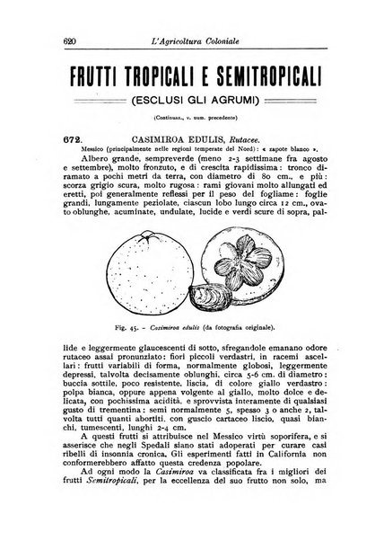 L'agricoltura coloniale organo dell'Istituto agricolo coloniale italiano e dell'Ufficio agrario sperimentale dell'Eritrea