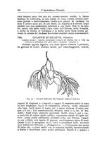 giornale/TO00199161/1915/V.2/00000384