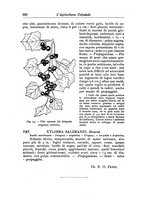 giornale/TO00199161/1915/V.2/00000386