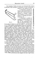 giornale/TO00199161/1916/V.1/00000101