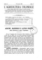 giornale/TO00199161/1916/V.1/00000141