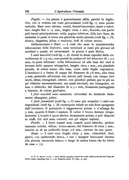 L'agricoltura coloniale organo dell'Istituto agricolo coloniale italiano e dell'Ufficio agrario sperimentale dell'Eritrea