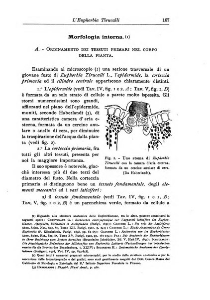 L'agricoltura coloniale organo dell'Istituto agricolo coloniale italiano e dell'Ufficio agrario sperimentale dell'Eritrea