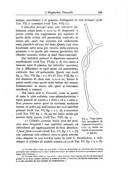 L'agricoltura coloniale organo dell'Istituto agricolo coloniale italiano e dell'Ufficio agrario sperimentale dell'Eritrea