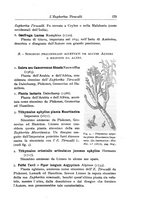 giornale/TO00199161/1916/V.1/00000221