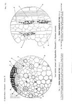 giornale/TO00199161/1916/V.1/00000243