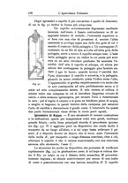 giornale/TO00199161/1916/V.1/00000260