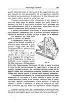 giornale/TO00199161/1916/V.1/00000355