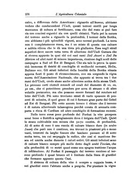 L'agricoltura coloniale organo dell'Istituto agricolo coloniale italiano e dell'Ufficio agrario sperimentale dell'Eritrea