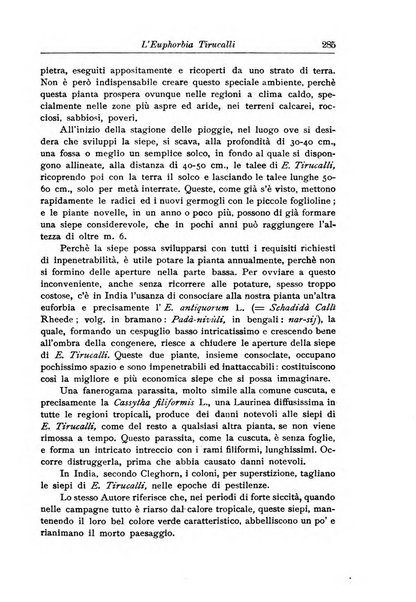 L'agricoltura coloniale organo dell'Istituto agricolo coloniale italiano e dell'Ufficio agrario sperimentale dell'Eritrea