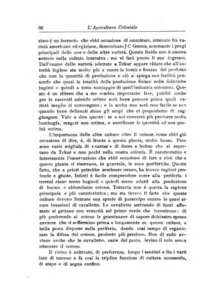 L'agricoltura coloniale organo dell'Istituto agricolo coloniale italiano e dell'Ufficio agrario sperimentale dell'Eritrea