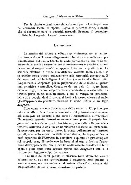 L'agricoltura coloniale organo dell'Istituto agricolo coloniale italiano e dell'Ufficio agrario sperimentale dell'Eritrea