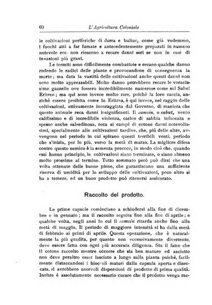 L'agricoltura coloniale organo dell'Istituto agricolo coloniale italiano e dell'Ufficio agrario sperimentale dell'Eritrea