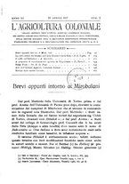 giornale/TO00199161/1917/unico/00000109