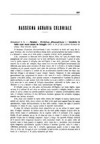 giornale/TO00199161/1917/unico/00000247