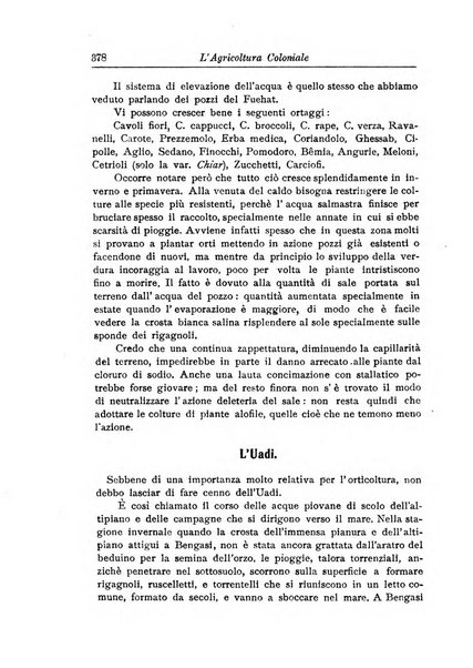 L'agricoltura coloniale organo dell'Istituto agricolo coloniale italiano e dell'Ufficio agrario sperimentale dell'Eritrea