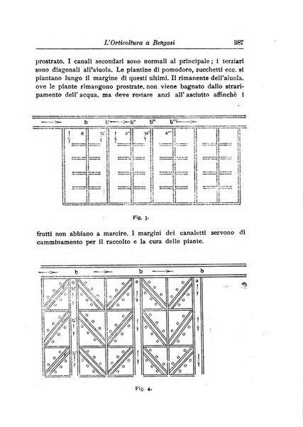 L'agricoltura coloniale organo dell'Istituto agricolo coloniale italiano e dell'Ufficio agrario sperimentale dell'Eritrea